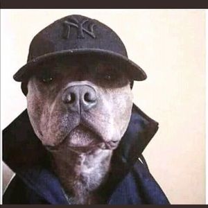 Meet your Posher, Kennique